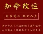 一流算命网