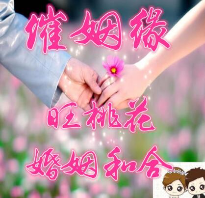 一生迷命理网
