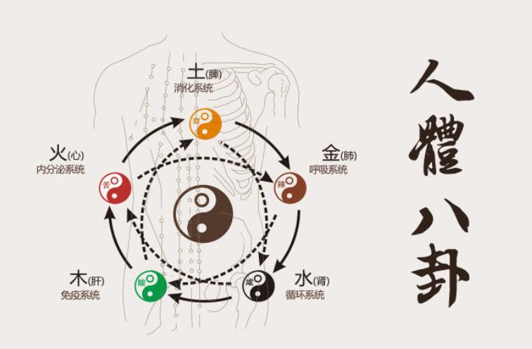 算命大师告诉你怎么学习八字命理知识，命理知识大全