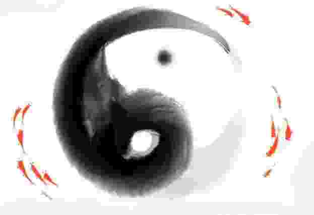 图解易经_2022年10月20日需要注意的属相有哪些？（算命）