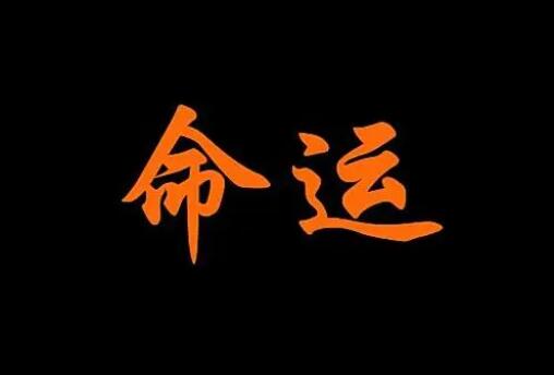 【易经风水】住宅大树风水寓意，种树有讲究！