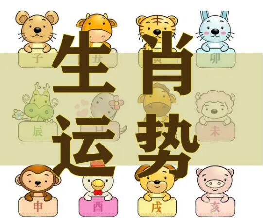 姻缘测试_属蛇配对属龙如何？（算命）