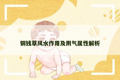 铜钱草风水作用及阴气属性解析