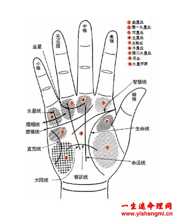 感情线末端分叉、有三角形