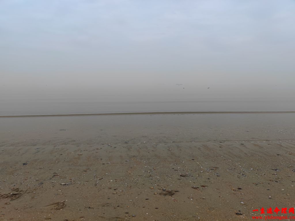  大师算命预测：精准解析人生运势，美满幸福密码